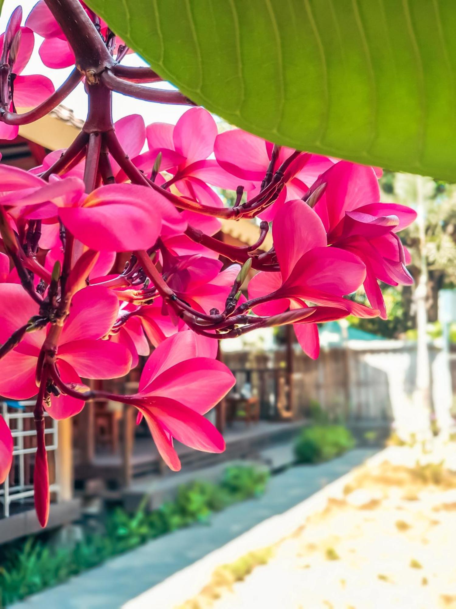 Leaf Coco Bungalow Gili Air Buitenkant foto