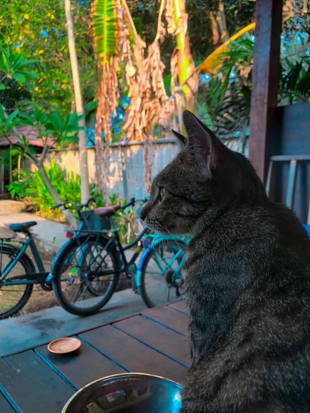 Leaf Coco Bungalow Gili Air Buitenkant foto
